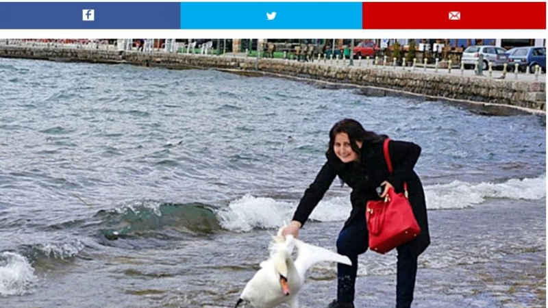 Прочухме се: Британските медии в потрес от убийцата на лебеди в Охрид