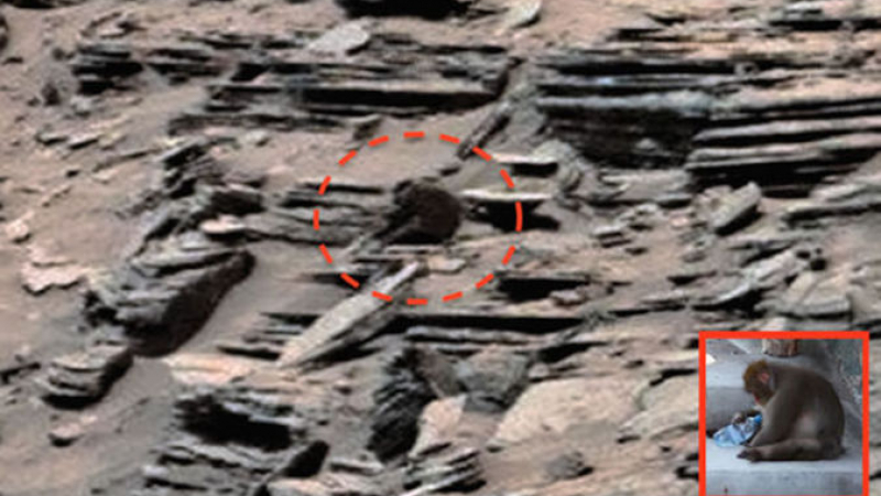 На СНИМКИ от Марс откриха маймуна