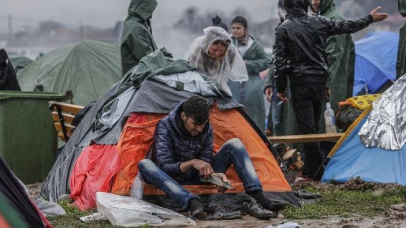 Пълен хаос в бежанския лагер на гръцката граница! Плъзнаха плъхове и змии