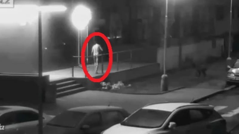 Гол върколак нападна невинни минувачи на улицата, скочи на полицаи (ВИДЕО)