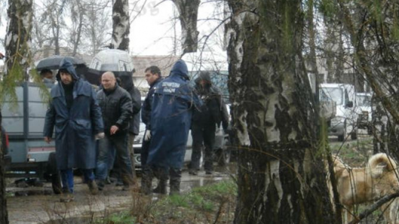 Полицията нахлу във фермата на братя Тодеви заради кърваво зрелище 
