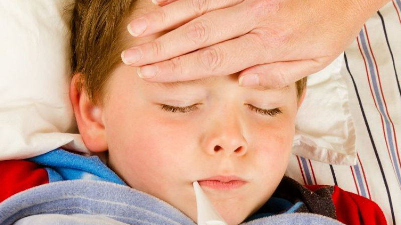 Калифорнийски грип налази Враца