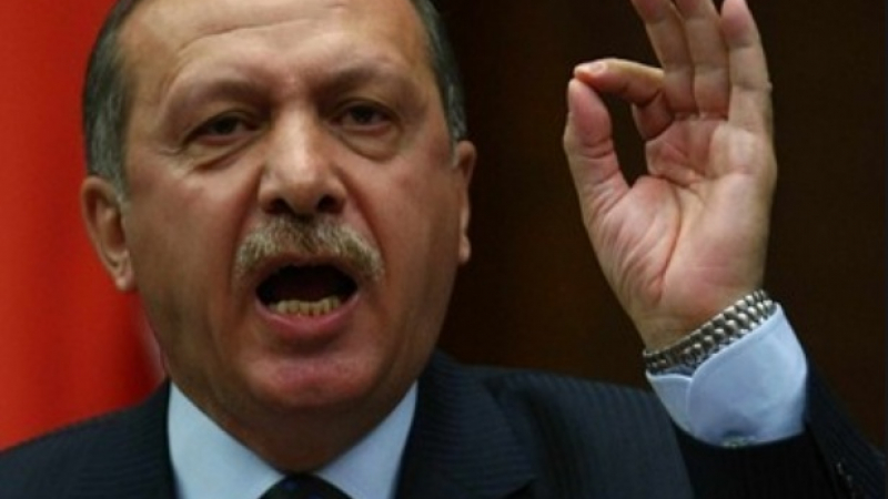 Ердоган: Европа си играе със змията, която ще я ухапе