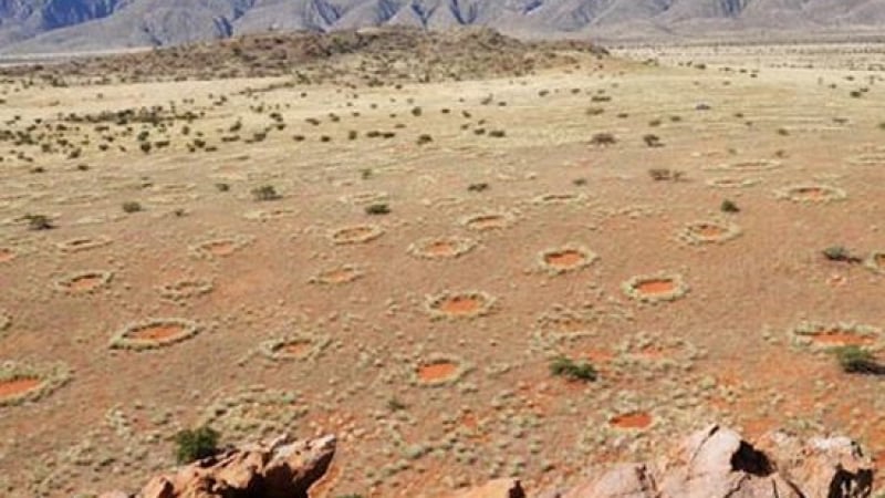 Загадъчни дяволски кръгове се появиха в австралийска пустиня (СНИМКИ) 