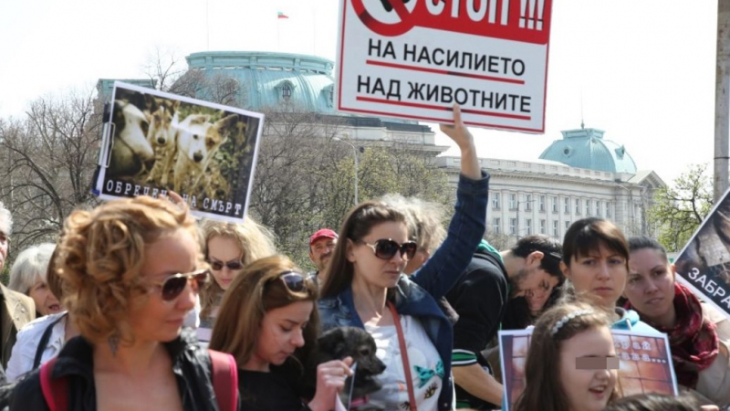 Протест в София срещу насилието над животни и кучкарниците
