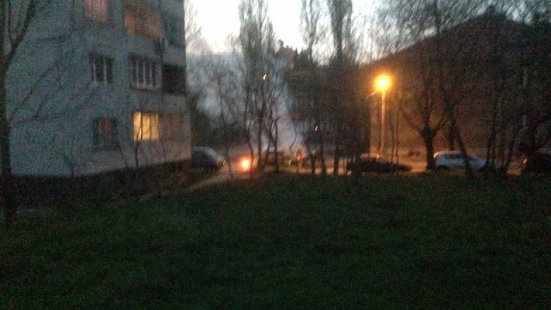 Запалиха кола близо до столично школо (СНИМКИ)
