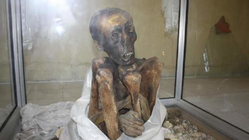 Мистериозната мумия на Сангха Тенсин (СНИМКИ/ВИДЕО)