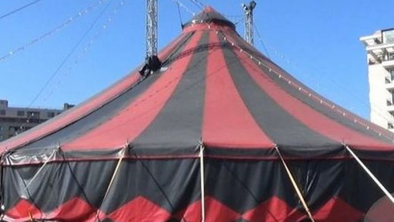 Нагли крадци думнаха цирка в Тракия