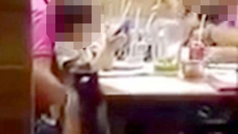 Ужасяващо! Сервитьорка засне как баща блудства с дъщеричката си в ресторант (СНИМКИ/ВИДЕО)