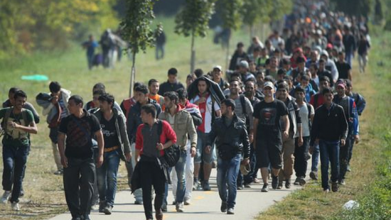 Създават спецбатальон за борба с нелегалните мигранти