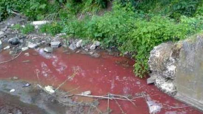 Зловеща гледка! Река Порой в Карнобат пак потече кървава (СНИМКА)