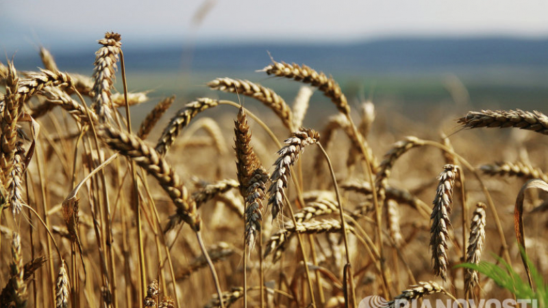 Bloomberg: САЩ загубиха „пшеничената война” с Русия
