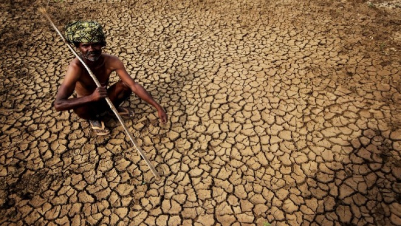Живакът в Индия достигна 48 градуса, жегата уби 220 души
