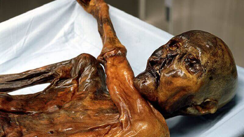 Учени „възкресиха“ Проклетата мумия