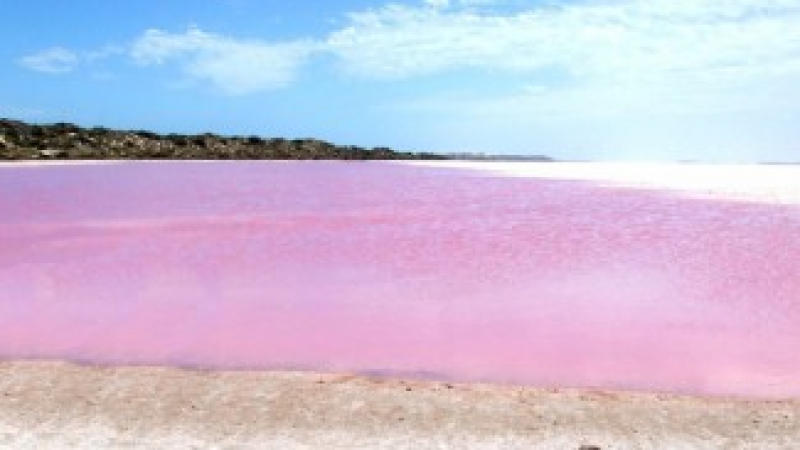 Ретба - уникалното розово езеро (СНИМКИ/ВИДЕО)