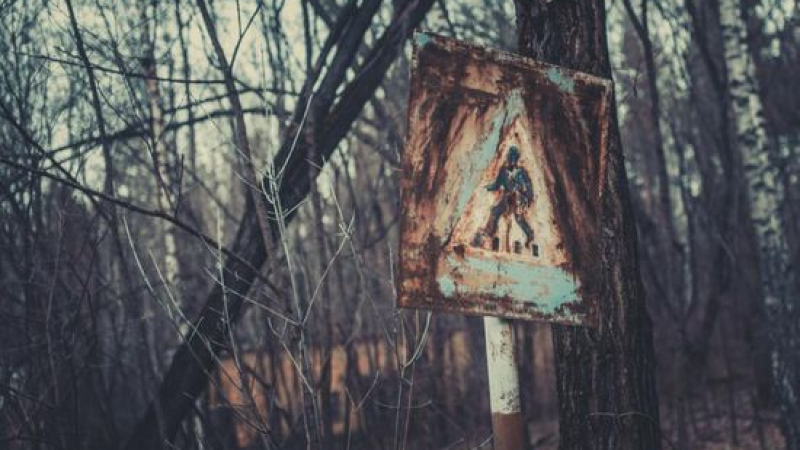 30 години след трагедията: Ето какви са уроците от Чернобил