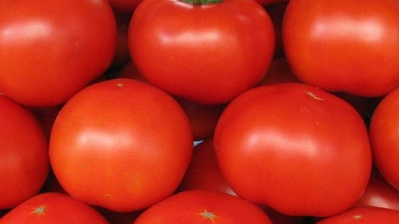 Полски домати сеят зарази по сергиите, разболяват хора и зеленчуци