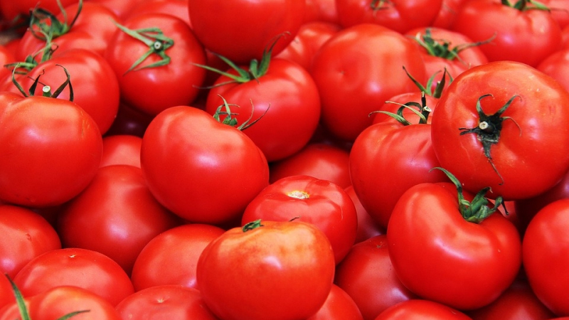Как да познаем качествените домати?