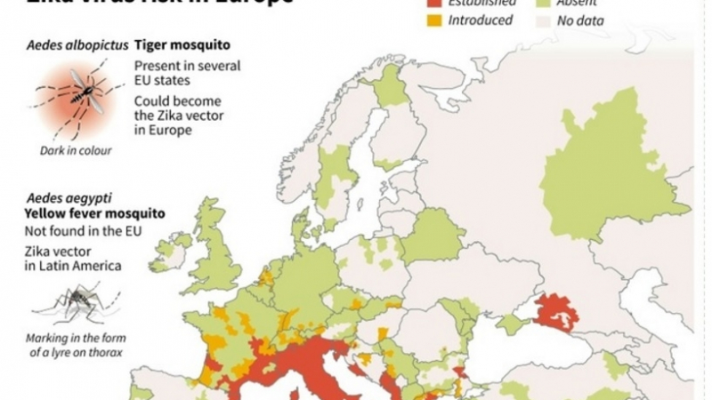 СЗО със страшно предупреждение: Зика идва в Европа