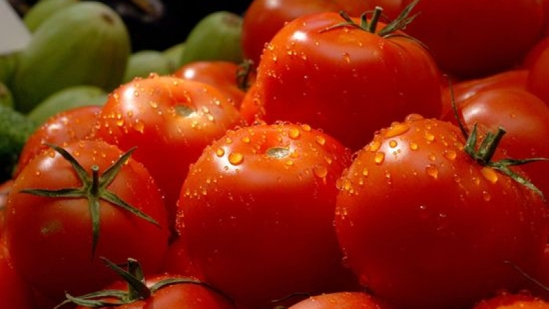 Проф. Ганева обясни защо няма "по-сладки" от българските домати
