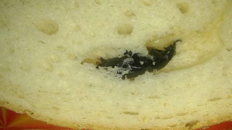 Домакиня си купи хляб и остана в потрес след отварянето му (СНИМКИ)



