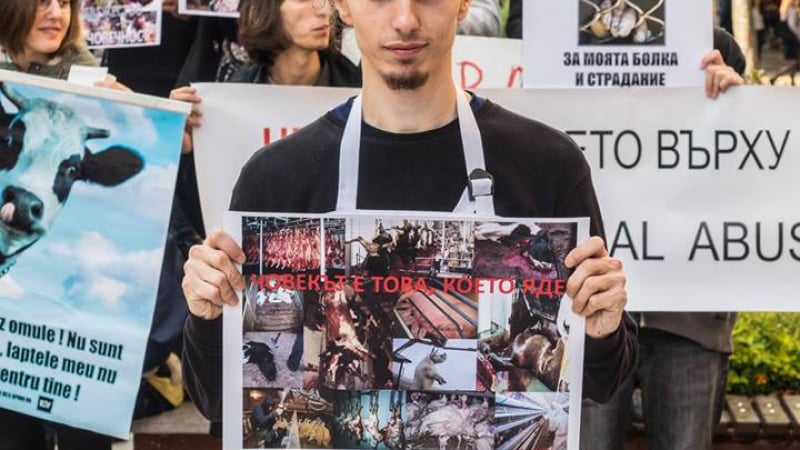 Организаторът на кървавия протест на веганите пред БЛИЦ: Ще покажем нещо още по-брутално! (СНИМКИ/ВИДЕО 18+)