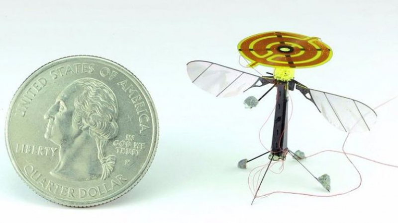 Робот пчела е новото оръжие на шпионите (ВИДЕО)