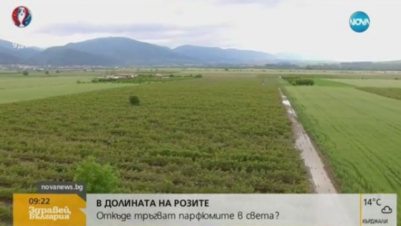 В долината на розите: Откъде тръгват парфюмите в света? (ВИДЕО)