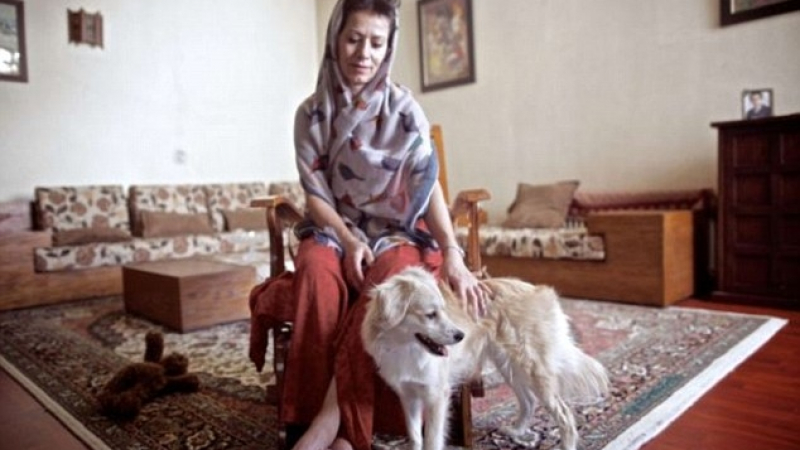 Иран ще забранява домашните кучета
