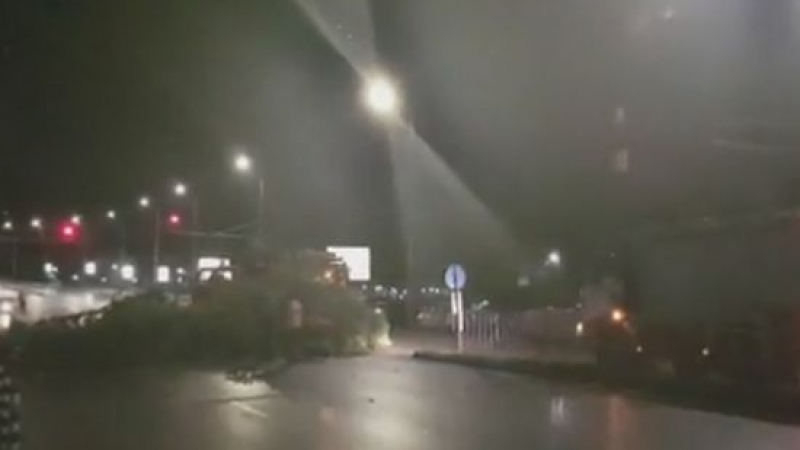 Ураганен вятър събори дърво в центъра на София (ВИДЕО)