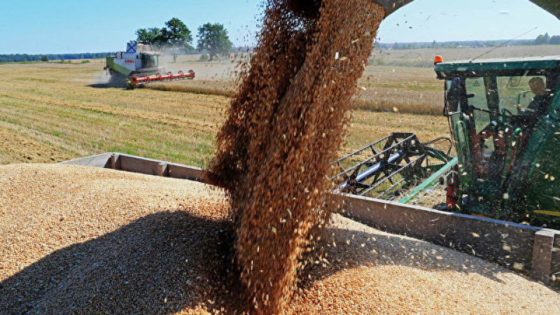 Bloomberg: Москва печели повече от експорта на зърно, а не на оръжие
