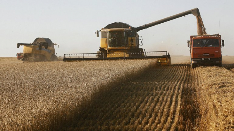 Българският износ на пшеница и брашно се срина! 