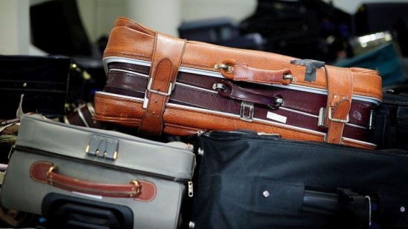 Шок на летище: Мъж вози тайно 160 животни в багажа си, някои от тях умрели 