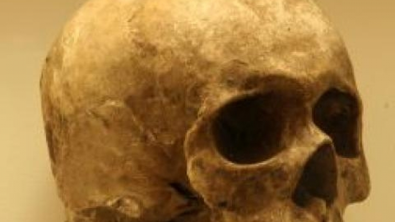 Сензационна находка: Хилядолетно гробище разбулва тайните на библейския народ на Голиат