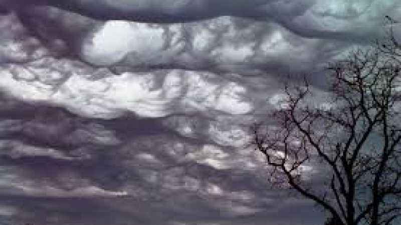 Дежурният синоптик в НИМХ към БАН плаши с мъгла и облаци