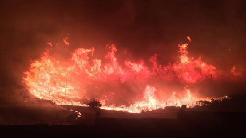 Извънредно! Голям пожар избухна близо до база на НАТО в Турция (СНИМКИ/ВИДЕО)