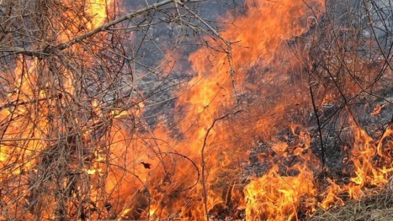 Пожар изпепели южния склон на Бакаджиците 