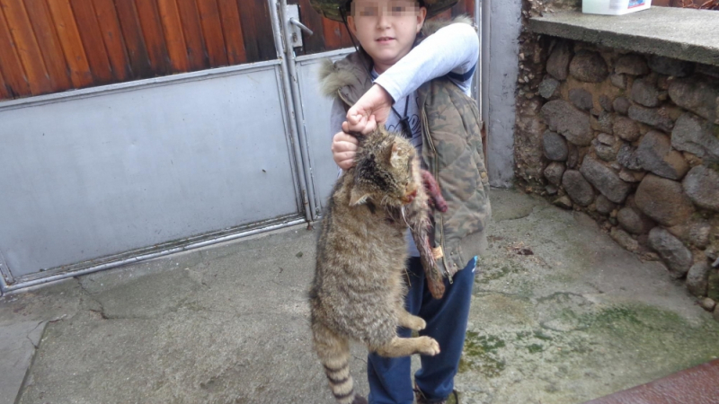 Шок! Мъж от Банско уби котка и даде на момченцето си да играе с окървавения труп (СНИМКИ 18+)