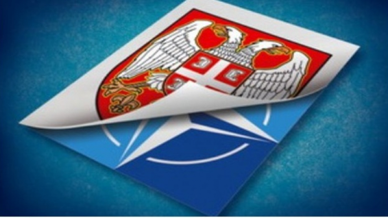 EADail: Русофилска Сърбия не иска да влиза в НАТО и в ЕС    