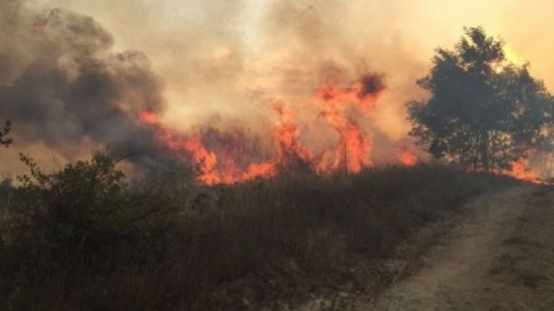По нашенски: Разбра се причината за огромния пожар в Хасковско