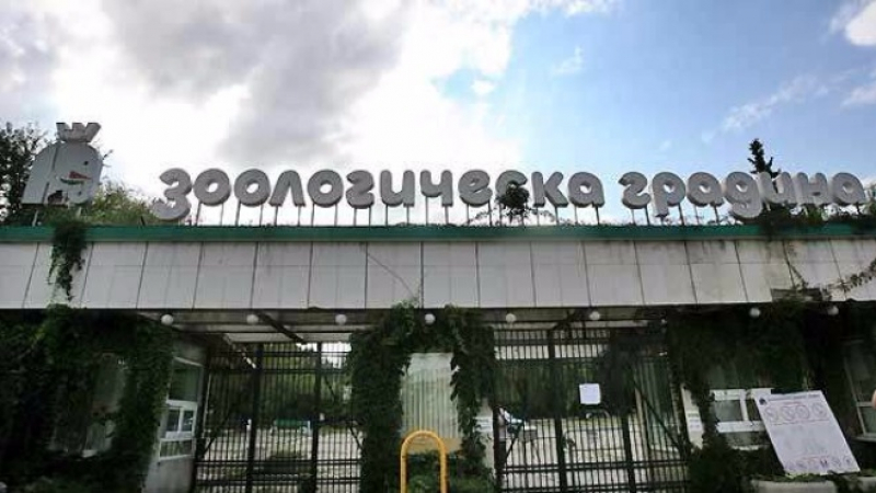 Фандъкова ще ремонтира входа на столичния зоопарк с четвърт милион