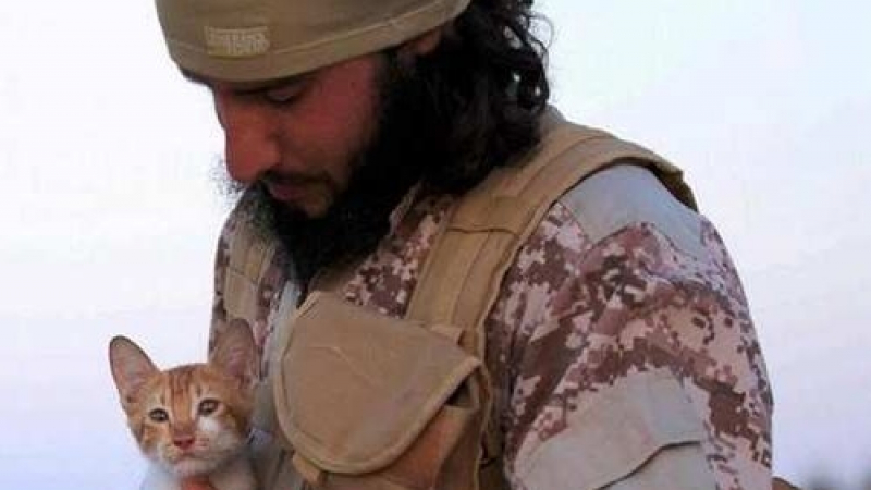 Малките котета – най-новото оръжие на „Ислямска държава”!