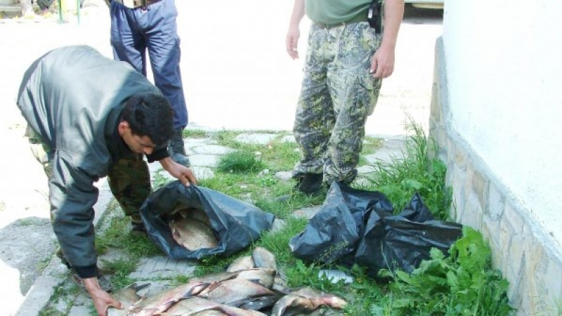Екшън край Приморско: Инспектори и полицаи преследват роми с вмирисана риба  