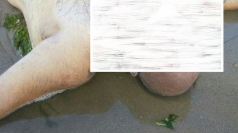 Първи потресаващи СНИМКИ в БЛИЦ от трагедията край устието на река Камчия (18+)