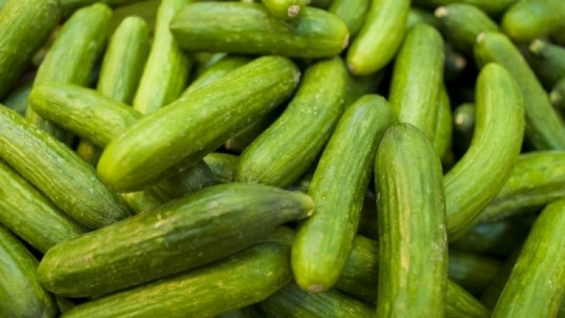 5 зеленчука, които ще ви приберат корема и "изядат" паласките за 1 седмица