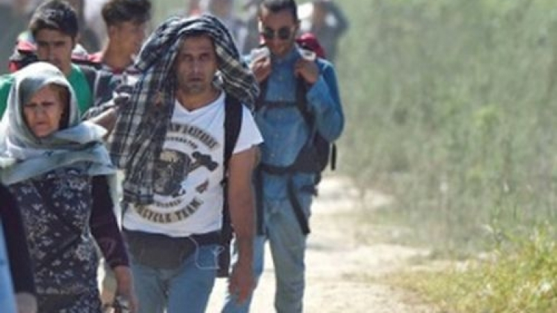 Спипаха в крачка 87 нелегални мигранти на сръбската граница