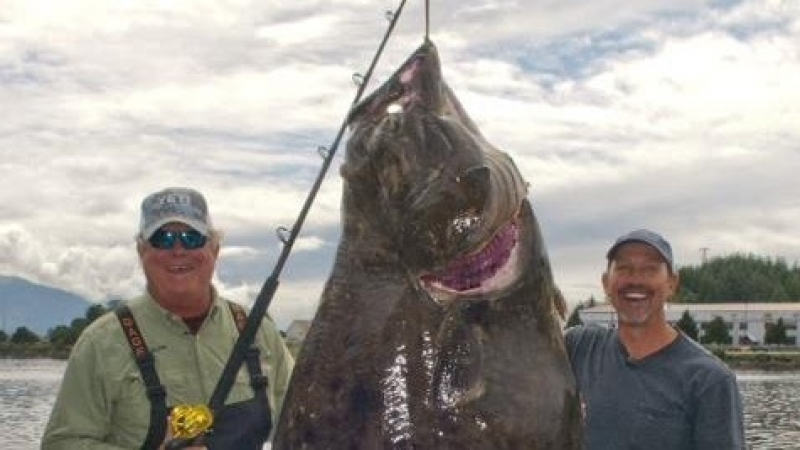 Какъв улов! Рибари от Аляска хванаха на въдицата 180-килограмова риба (СНИМКА)