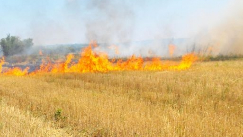 Няма край! Огромен пожар пламна между Дрипчево и Изворово. Обявиха бедствено положение