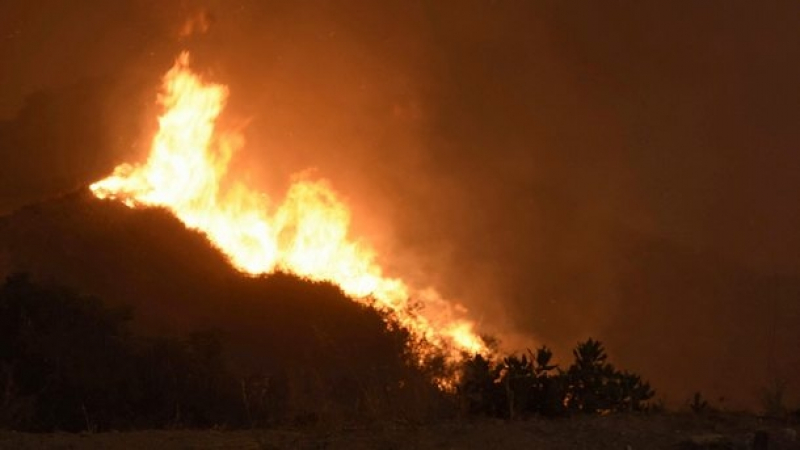  Пожарът до Изворово e потушен, няма да има евакуация