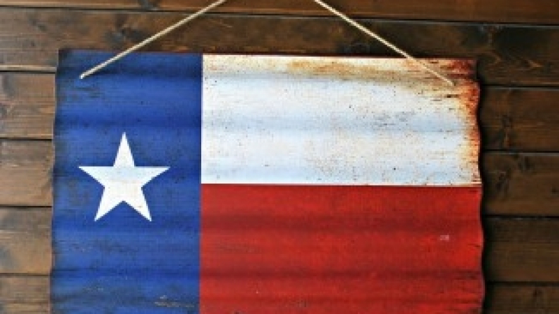 13 невероятни факта за Тексас